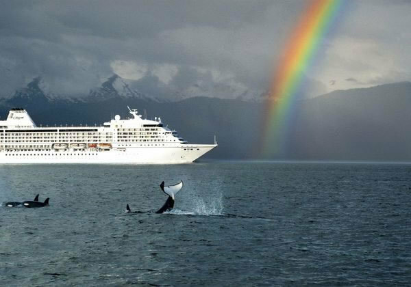 Seven Seas Mariner vor Gebirgskulisse mit Regenbogen, im Vordergrund springende Wale im Wasser.