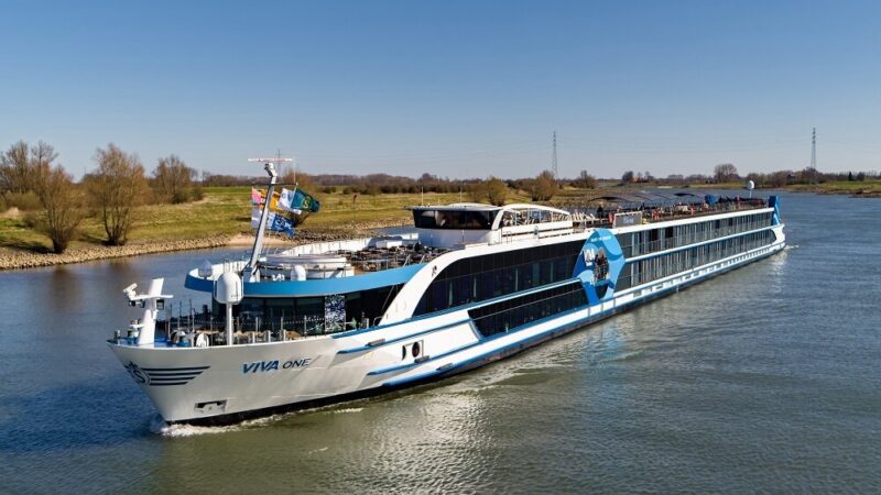 MS VIVA ONE