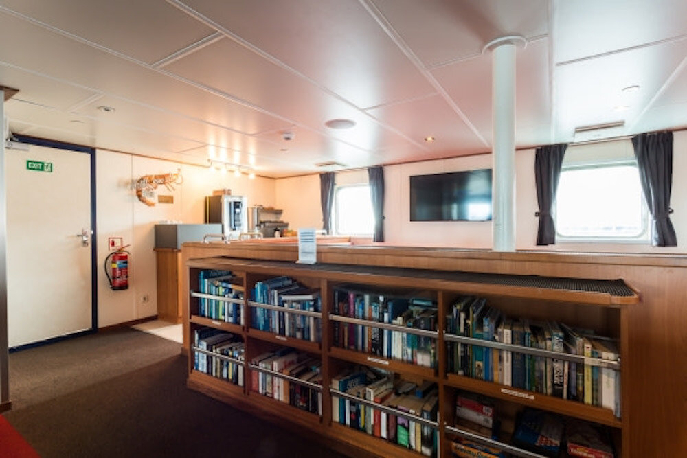 Bibliotheksbereich an Bord mit langem Bücherregal aus Holz, Fernseher an der Wand und Getränkestation im Hintergrund.